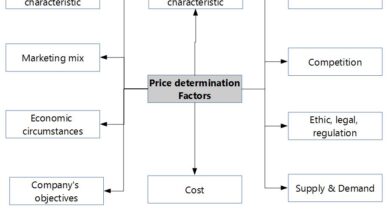 Salesforce CRM cost: Understanding the Factors Impacting Pricing